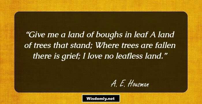 Give me a land of boughs in leaf
A land of trees that stand;
Where trees are fallen there is grief;
I love no leafless land.