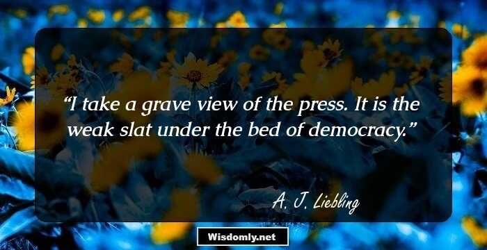 I take a grave view of the press. It is the weak slat under the bed of democracy.