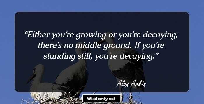 Either you're growing or you're decaying; there's no middle ground. If you're standing still, you're decaying.