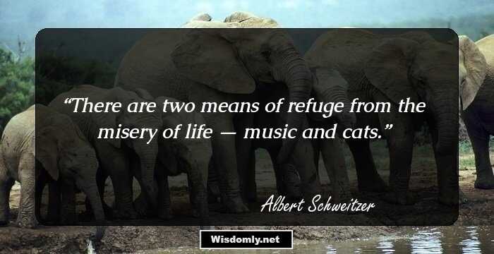 There are two means of refuge from the misery of life — music and cats.