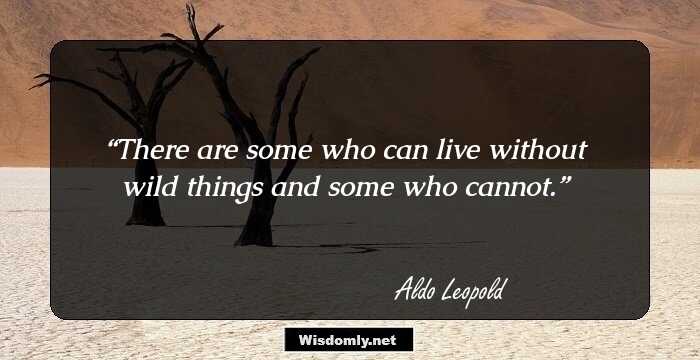 There are some who can live without wild things and some who cannot.