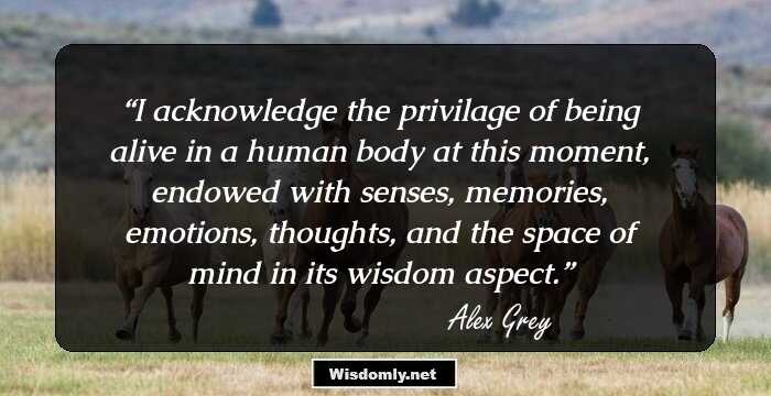 I acknowledge the privilage of being alive in a human body at this moment, endowed with senses, memories, emotions, thoughts, and the space of mind in its wisdom aspect.