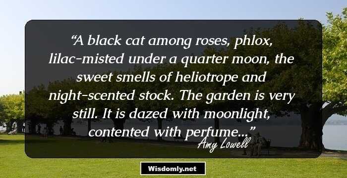 A black cat among roses,
phlox, lilac-misted under a quarter moon,
the sweet smells of heliotrope and night-scented stock. The garden is very still.
It is dazed with moonlight,
contented with perfume...