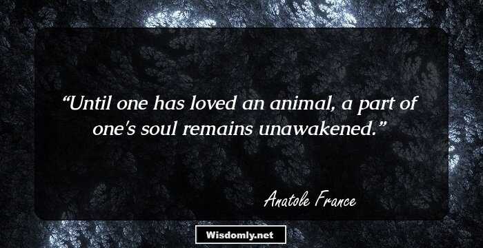 Until one has loved an animal, a part of one's soul remains unawakened.