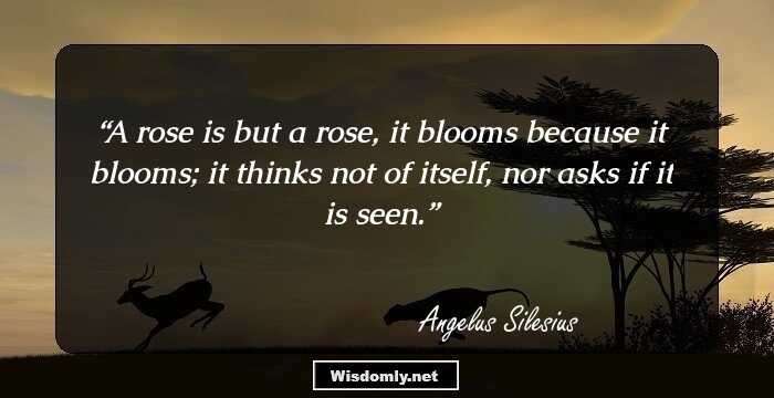 A rose is but a rose, it blooms because it blooms; it thinks not of itself, nor asks if it is seen.