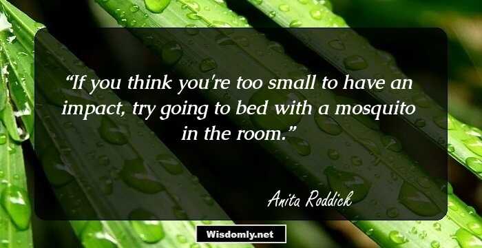 If you think you're too small to have an impact, try going to bed with a mosquito in the room.