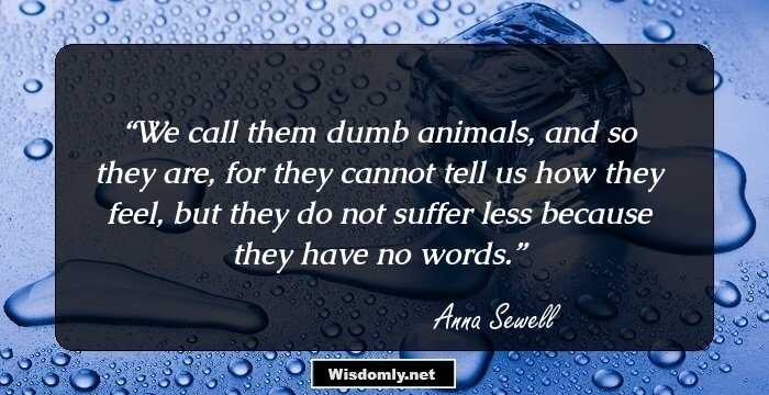 We call them dumb animals, and so they are, for they cannot tell us how they feel, but they do not suffer less because they have no words.