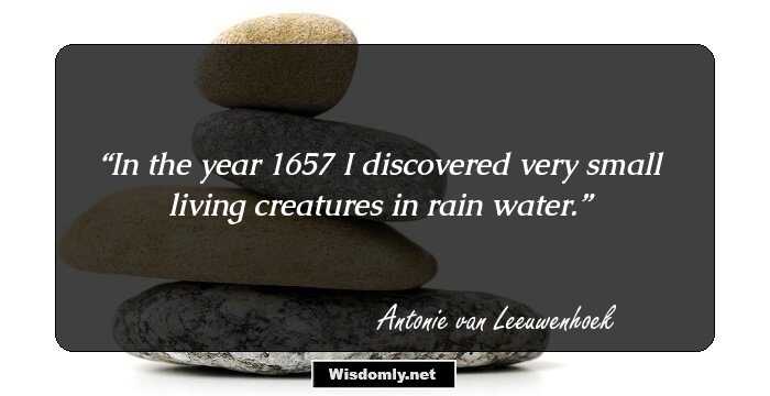 In the year 1657 I discovered very small living creatures in rain water.