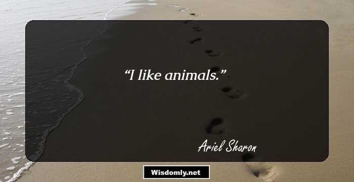 I like animals.