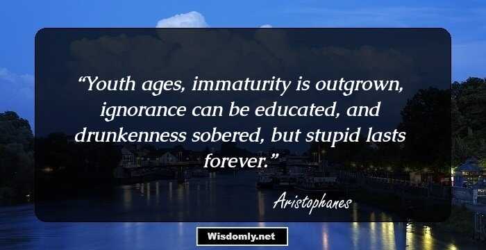 Youth ages, immaturity is outgrown, ignorance can be educated, and drunkenness sobered, but stupid lasts forever.