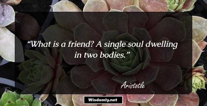 What is a friend? A single soul dwelling in two bodies.