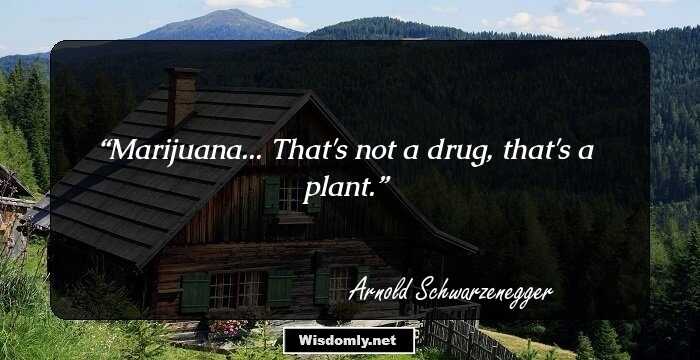 Marijuana... That's not a drug, that's a plant.