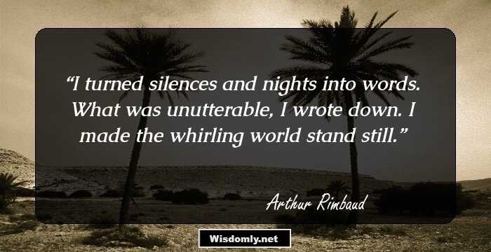 I turned silences and nights into words. What was unutterable, I wrote down. I made the whirling world stand still.