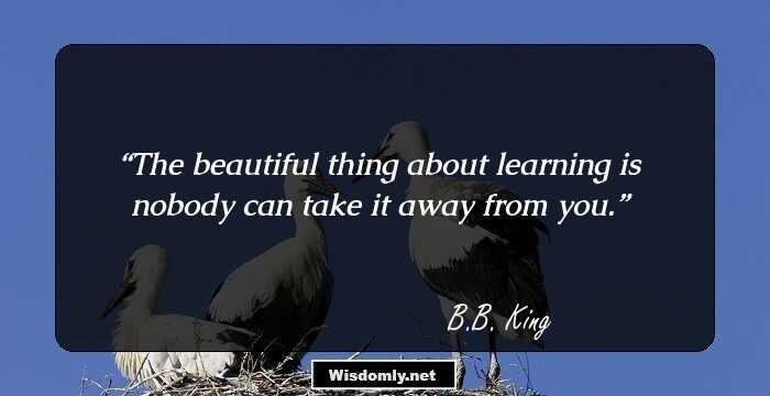 The beautiful thing about learning is nobody can take it away from you.