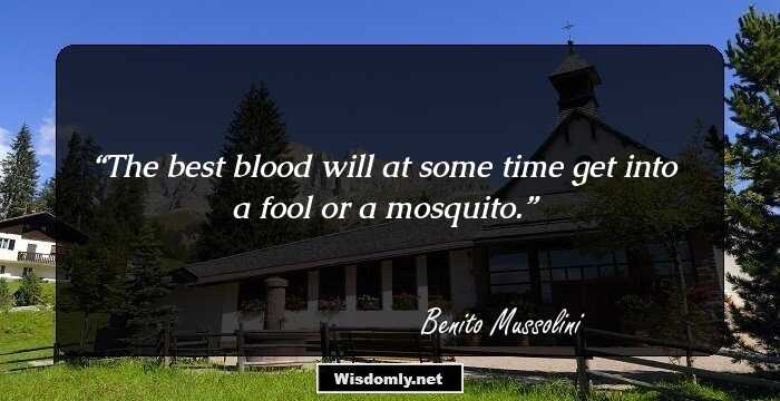 The best blood will at some time get into a fool or a mosquito.