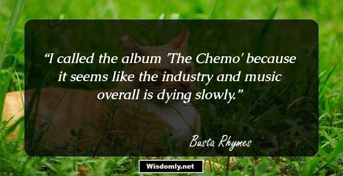 I called the album 'The Chemo' because it seems like the industry and music overall is dying slowly.