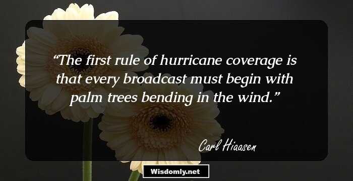 The first rule of hurricane coverage is that every broadcast must begin with palm trees bending in the wind.