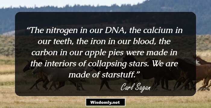 The nitrogen in our DNA, the calcium in our teeth, the iron in our blood, the carbon in our apple pies were made in the interiors of collapsing stars. We are made of starstuff.