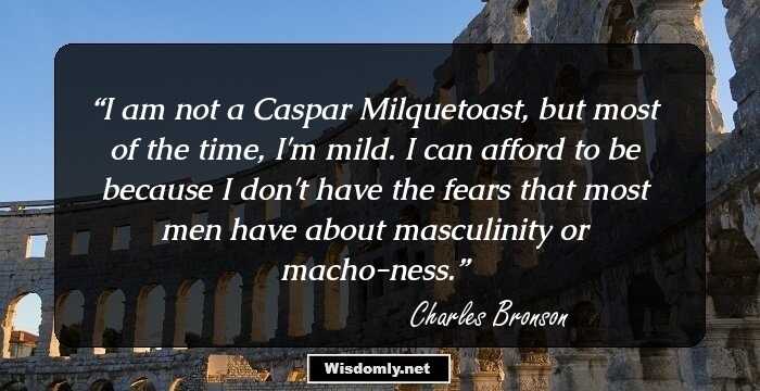 I am not a Caspar Milquetoast, but most of the time, I'm mild. I can afford to be because I don't have the fears that most men have about masculinity or macho-ness.