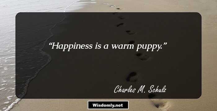 Happiness is a warm puppy.