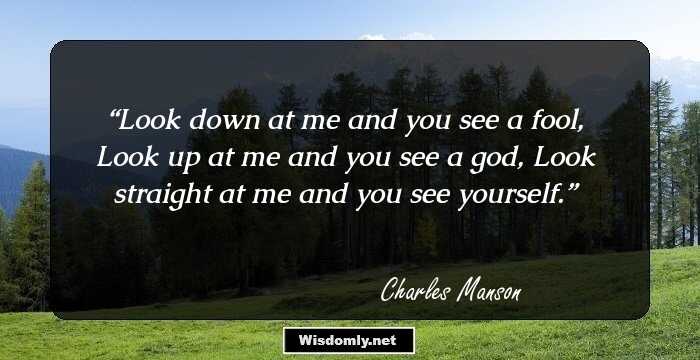 Look down at me and you see a fool,
Look up at me and you see a god,
Look straight at me and you see yourself.