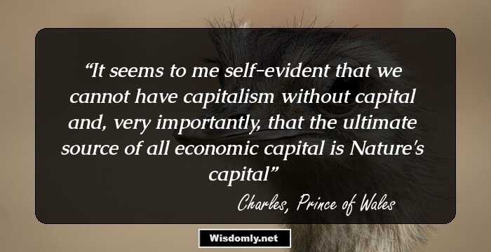 It seems to me self-evident that we cannot have capitalism without capital and, very importantly, that the ultimate source of all economic capital is Nature's capital