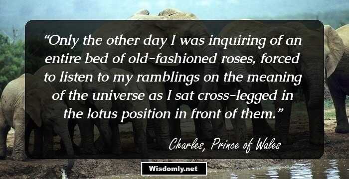 Only the other day I was inquiring of an entire bed of old-fashioned roses, forced to listen to my ramblings on the meaning of the universe as I sat cross-legged in the lotus position in front of them.