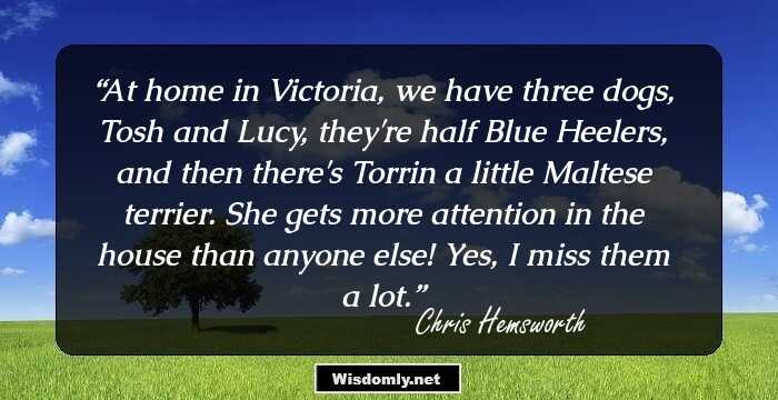 At home in Victoria, we have three dogs, Tosh and Lucy, they're half Blue Heelers, and then there's Torrin a little Maltese terrier. She gets more attention in the house than anyone else! Yes, I miss them a lot.