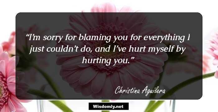 I’m sorry for blaming you for everything I just couldn’t do, and I’ve hurt myself by hurting you.