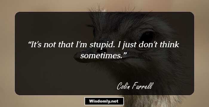 It's not that I'm stupid. I just don't think sometimes.