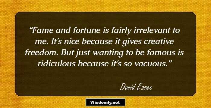 Fame and fortune is fairly irrelevant to me. It's nice because it gives creative freedom. But just wanting to be famous is ridiculous because it's so vacuous.