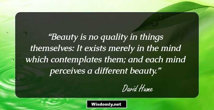 Beauty is no quality in things themselves: It exists merely in the mind which contemplates them; and each mind perceives a different beauty.