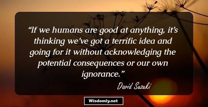 If we humans are good at anything, it’s thinking we’ve got a terrific idea and going for it without acknowledging the potential consequences or our own ignorance.