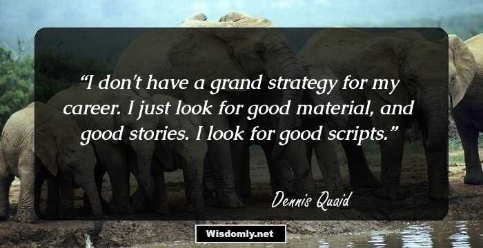 I don't have a grand strategy for my career. I just look for good material, and good stories. I look for good scripts.