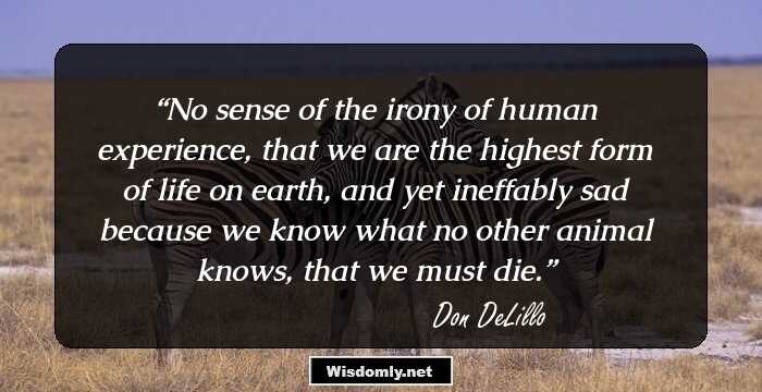 No sense of the irony of human experience, that we are the highest form of life on earth, and yet ineffably sad because we know what no other animal knows, that we must die.