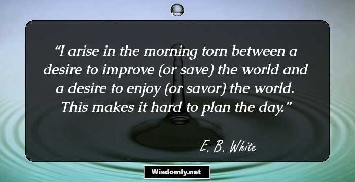 I arise in the morning torn between a desire to improve (or save) the world and a desire to enjoy (or savor) the world. This makes it hard to plan the day.