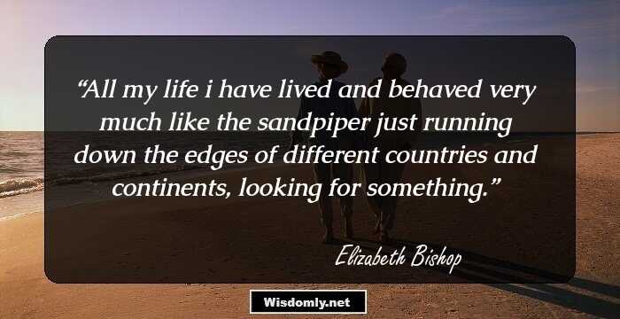 All my life i have lived and behaved very much like the sandpiper just running down the edges of different countries and continents, looking for something.