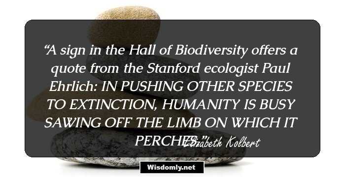 A sign in the Hall of Biodiversity offers a quote from the Stanford ecologist Paul Ehrlich: IN PUSHING OTHER SPECIES TO EXTINCTION, HUMANITY IS BUSY SAWING OFF THE LIMB ON WHICH IT PERCHES.