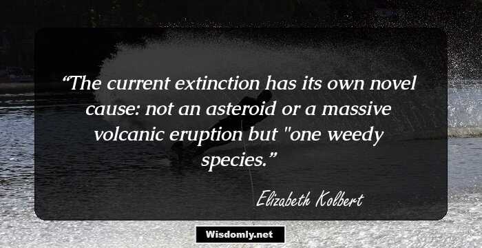 The current extinction has its own novel cause: not an asteroid or a massive volcanic eruption but 