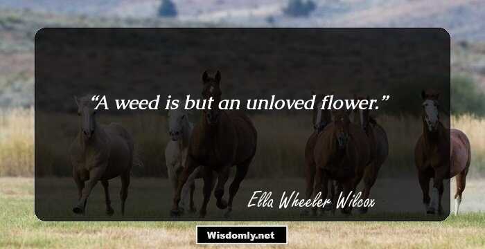 A weed is but an unloved flower.