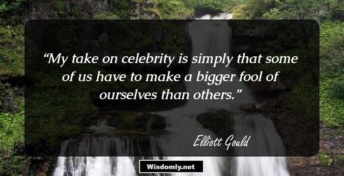 My take on celebrity is simply that some of us have to make a bigger fool of ourselves than others.