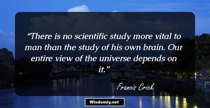 There is no scientific study more vital to man than the study of his own brain. Our entire view of the universe depends on it.