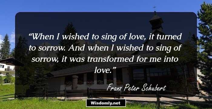 24 Thought-Provoking Quotes By Franz Schubert