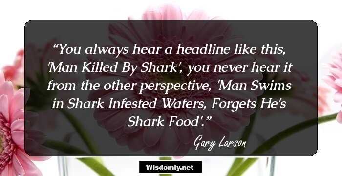 You always hear a headline like this, 'Man Killed By Shark', you never hear it from the other perspective, 'Man Swims in Shark Infested Waters, Forgets He's Shark Food'.