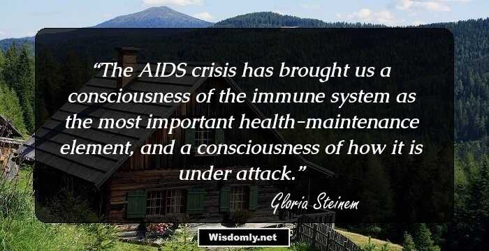 The AIDS crisis has brought us a consciousness of the immune system as the most important health-maintenance element, and a consciousness of how it is under attack.