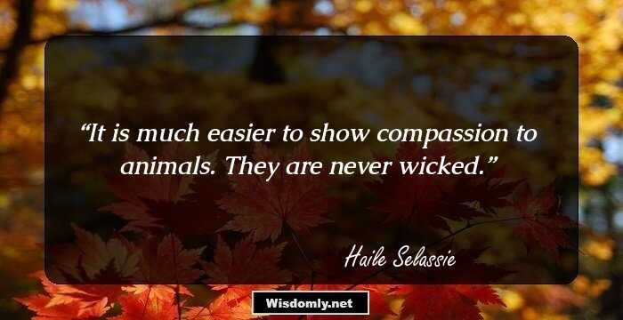 It is much easier to show compassion to animals. They are never wicked.