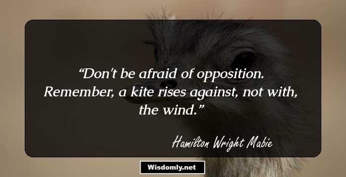 Don't be afraid of opposition. Remember, a kite rises against, not with, the wind.