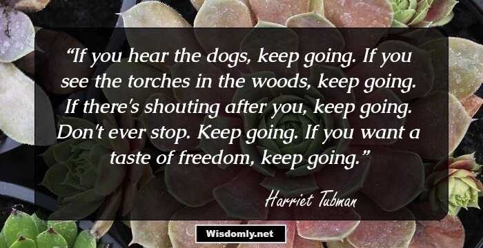 If you hear the dogs, keep going. If you see the torches in the woods, keep going. If there's shouting after you, keep going. Don't ever stop. Keep going. If you want a taste of freedom, keep going.