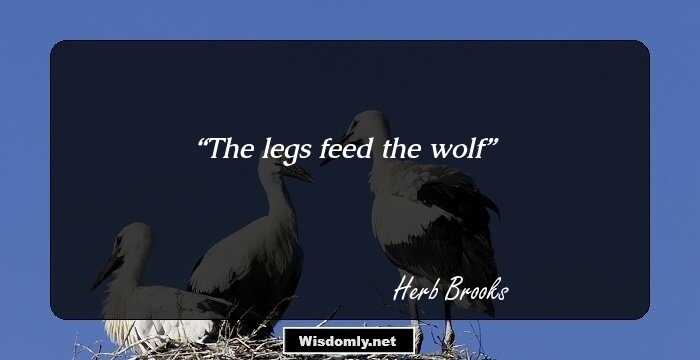 The legs feed the wolf