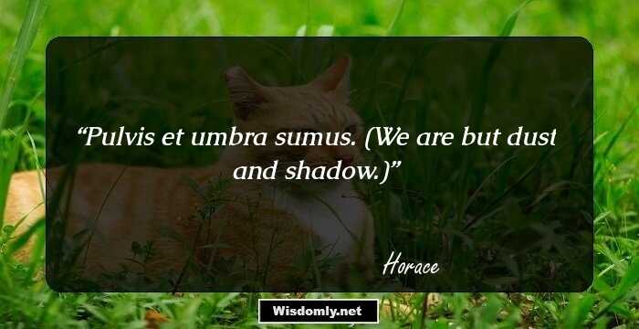 Pulvis et umbra sumus. (We are but dust and shadow.)